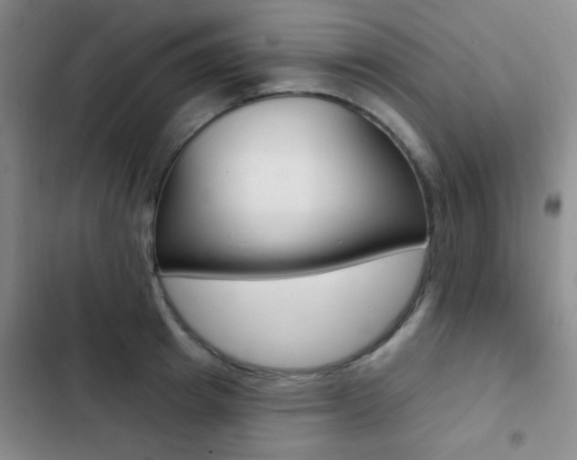 X0000103240849200808281031