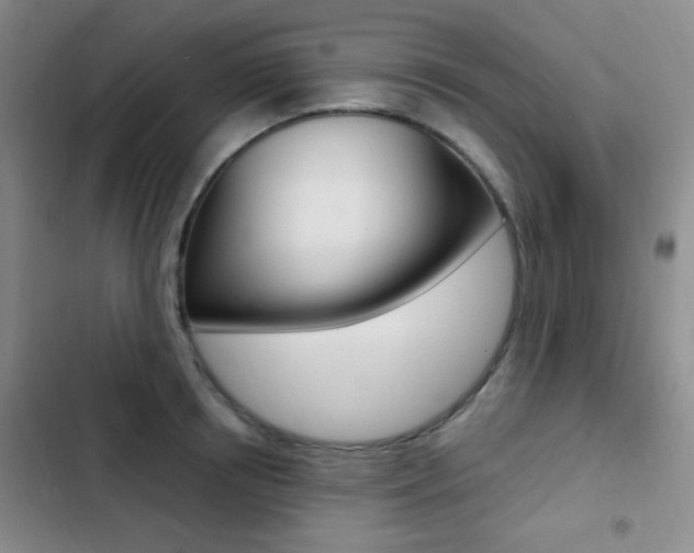 X0000103240850200808281031