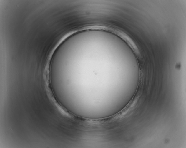 X0000103240852200808281031