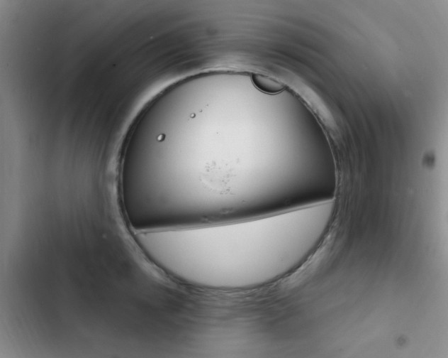 X0000103240854200808281031