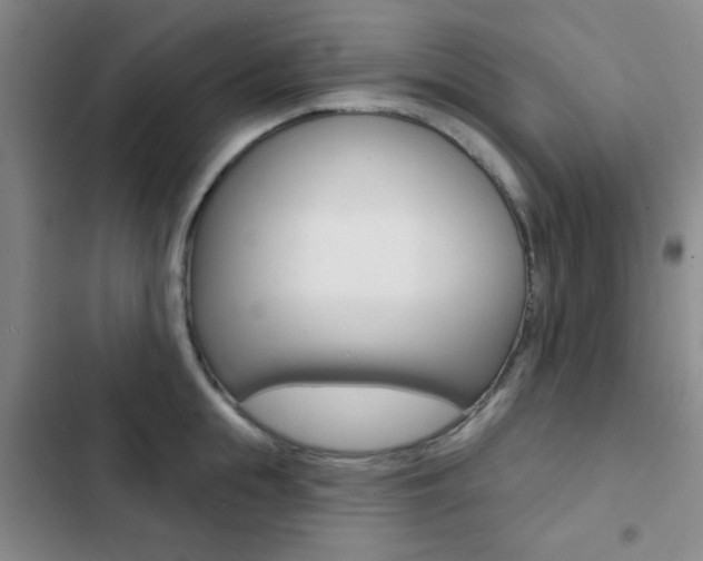 X0000103240855200808281031