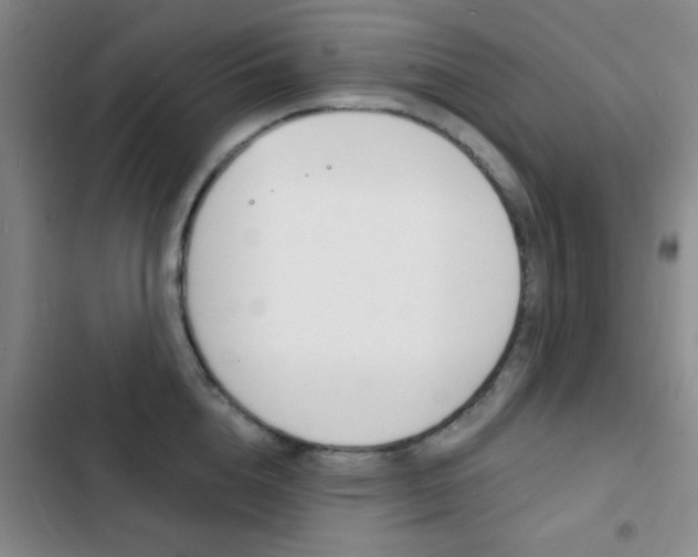 X0000103240856200808281031