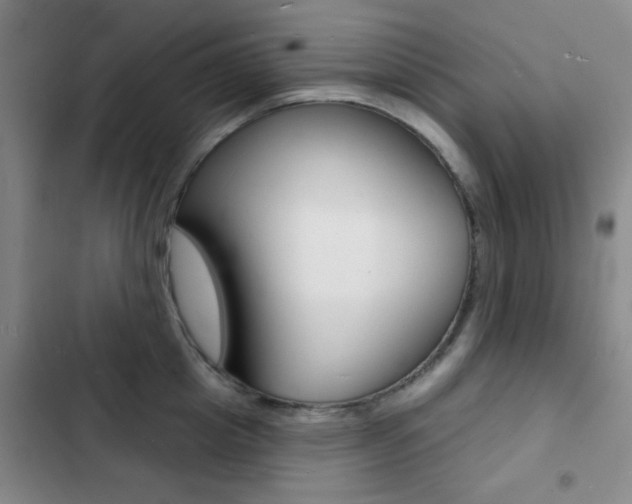 X0000103240857200808281031