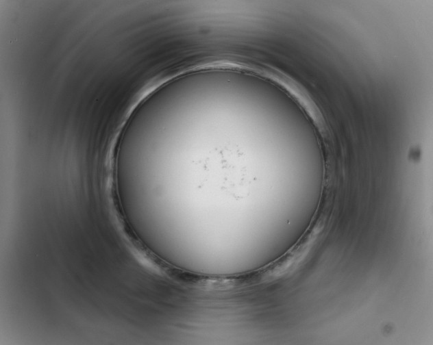 X0000103240858200808281032