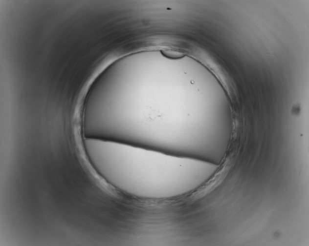X0000103240859200808281032