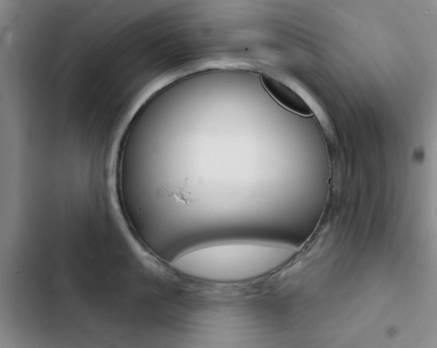 X0000103240861200808281032