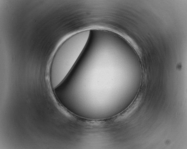 X0000103240862200808281032