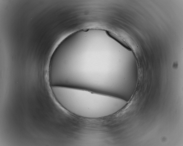 X0000103240863200808281032