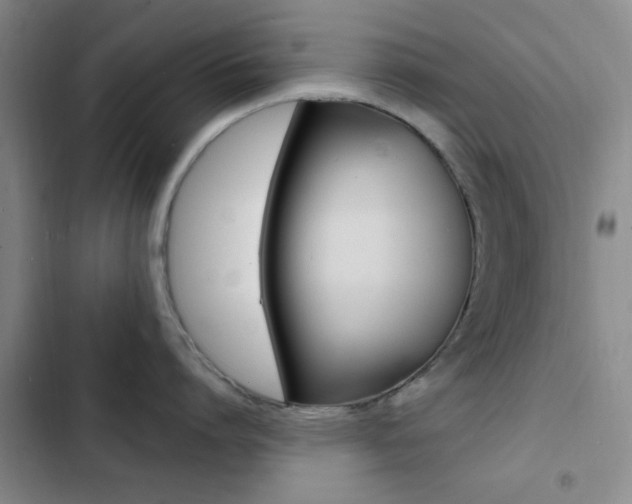 X0000103240864200808281032