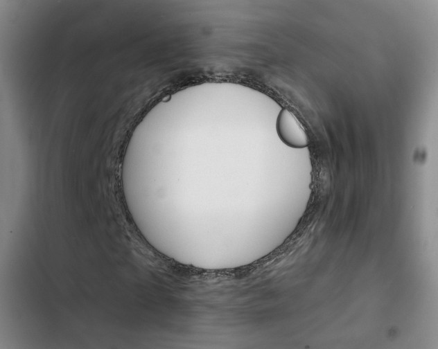 X0000103240865200808281031