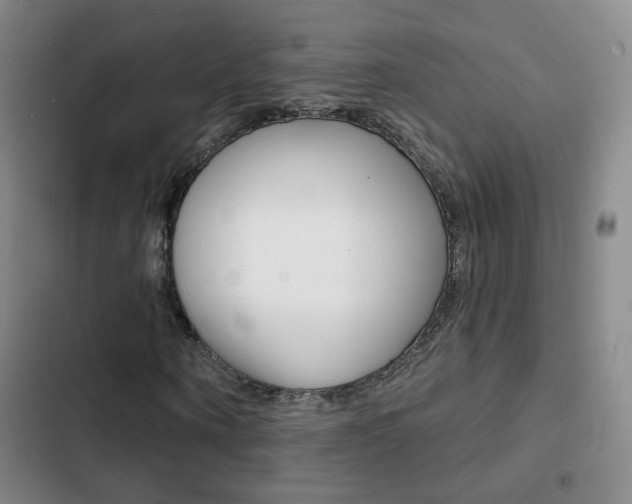 X0000103240866200808281031