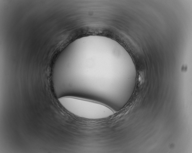 X0000103240867200808281031