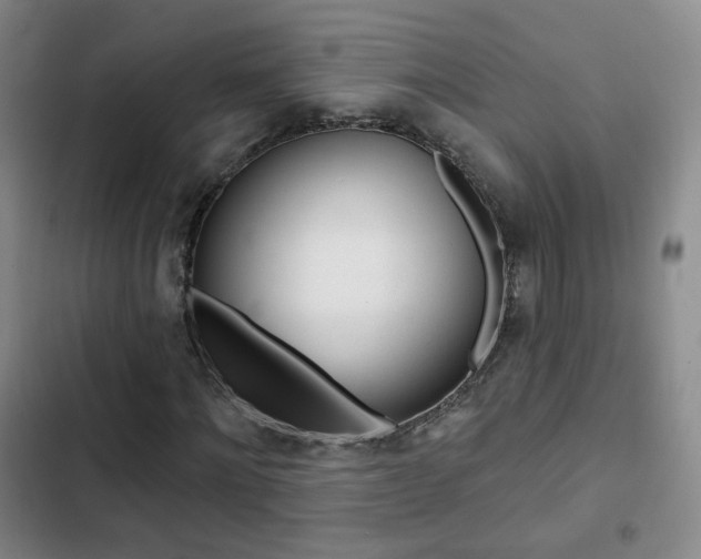X0000103240868200808281031
