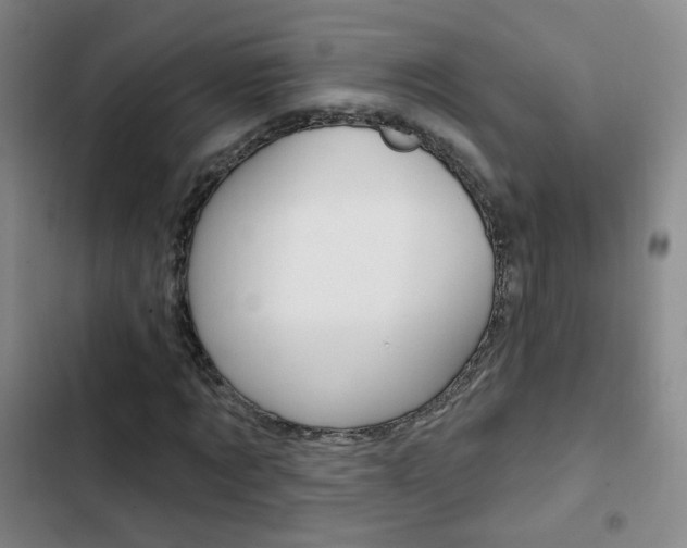 X0000103240869200808281031