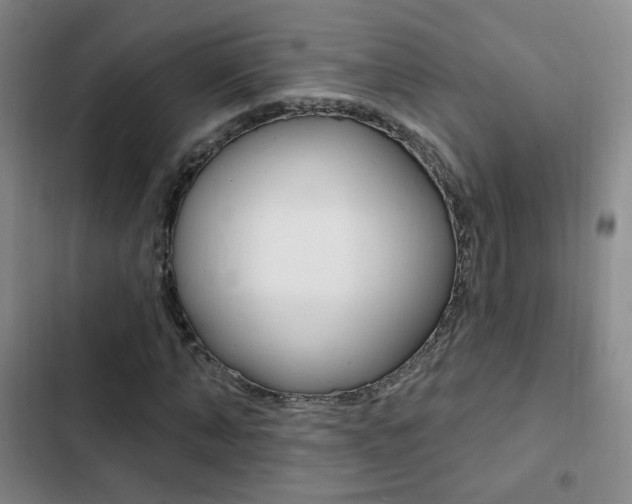 X0000103240870200808281031