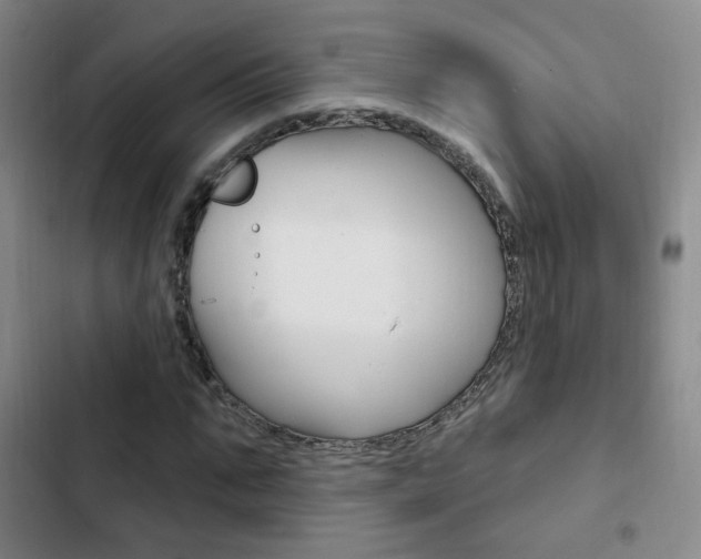 X0000103240871200808281031