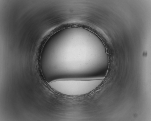 X0000103240872200808281031