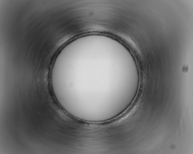X0000103240873200808281031