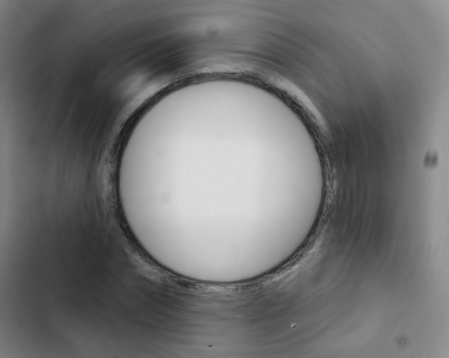 X0000103240874200808281031