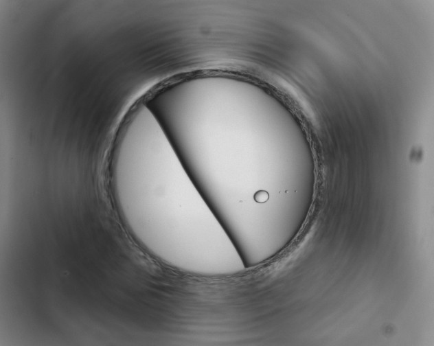 X0000103240875200808281031