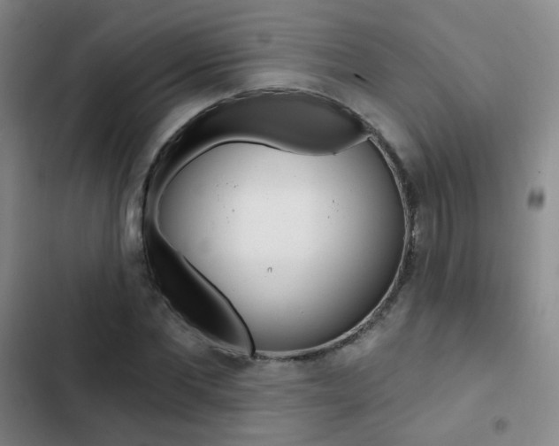 X0000103240877200808281031