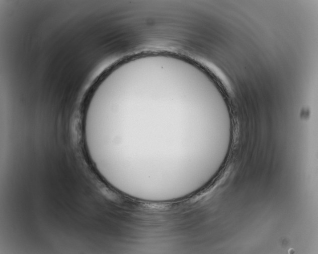 X0000103240878200808281031