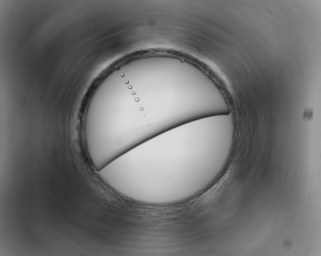 X0000103240879200808281031