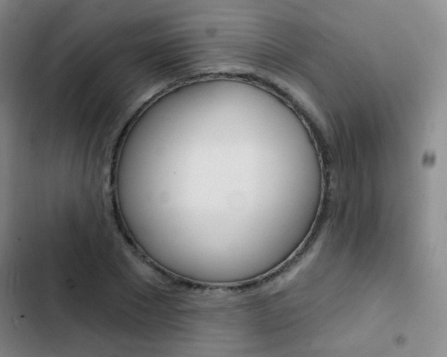 X0000103240881200808281031