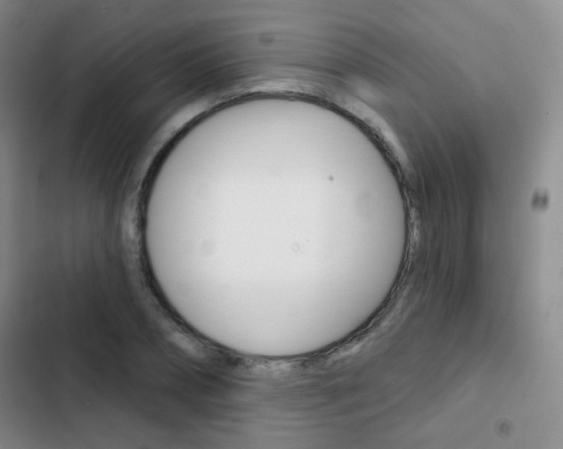 X0000103240882200808281031