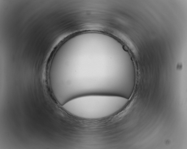 X0000103240883200808281031