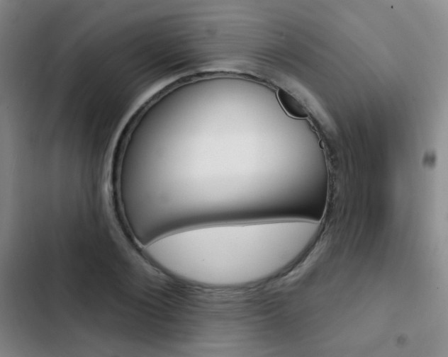 X0000103240884200808281030