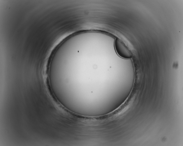 X0000103240885200808281030