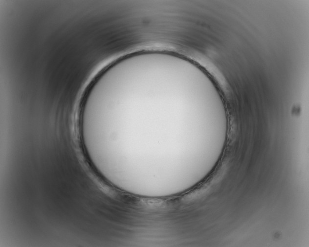 X0000103240886200808281030