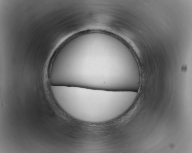 X0000103240887200808281030