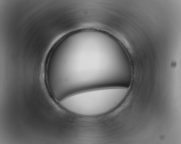 X0000103240888200808281030