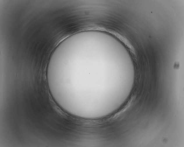 X0000103240889200808281030