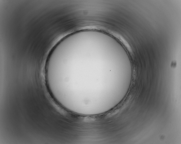 X0000103240890200808281030