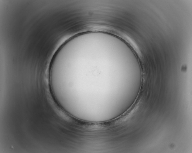 X0000103240891200808281030