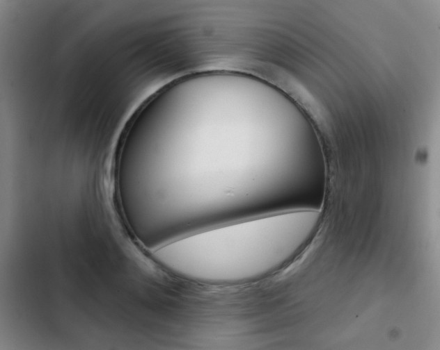 X0000103240892200808281030