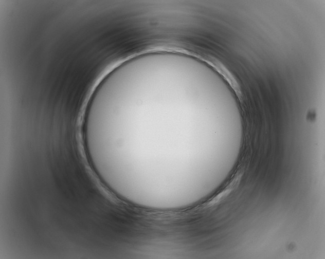 X0000103240893200808281030