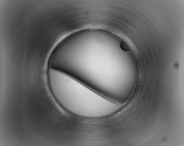 X0000103240894200808281030