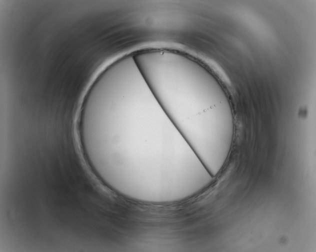 X0000103240895200808281030