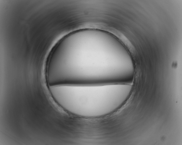 X0000103240896200808281030