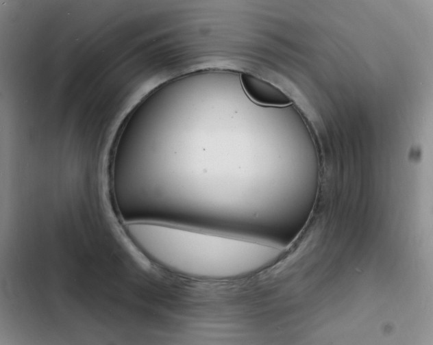 X0000103240898200808281030