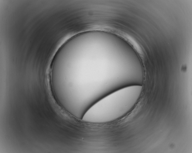 X0000103240899200808281030