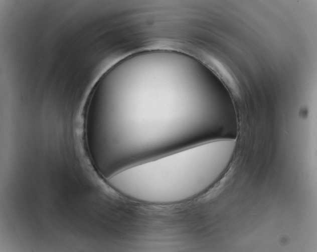 X0000103240900200808281030