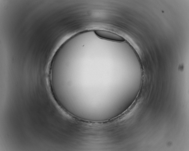 X0000103240901200808281030