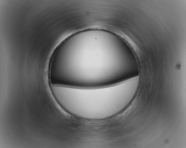 X0000103240902200808281030