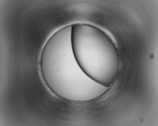 X0000103240903200808281030