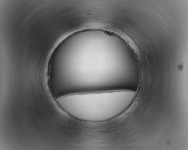 X0000103240904200808281030